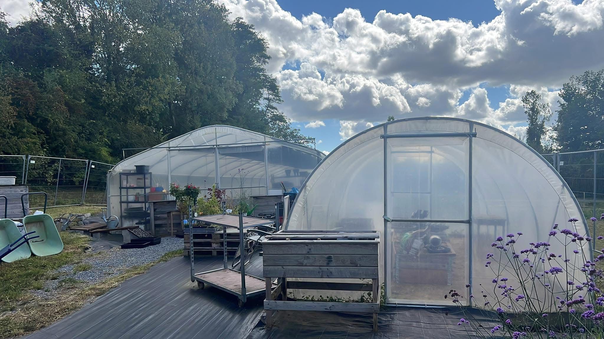 Serres de la pépinière